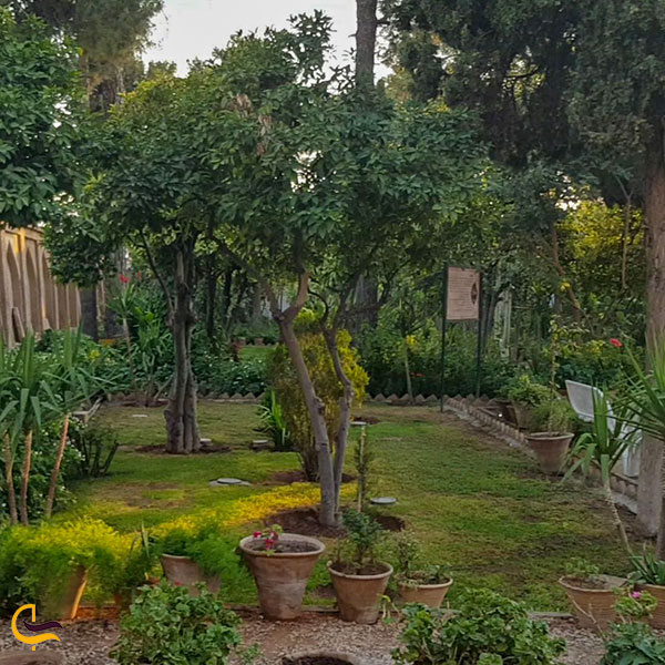 عکس باغ با صفا موزه هفت تنان شیراز