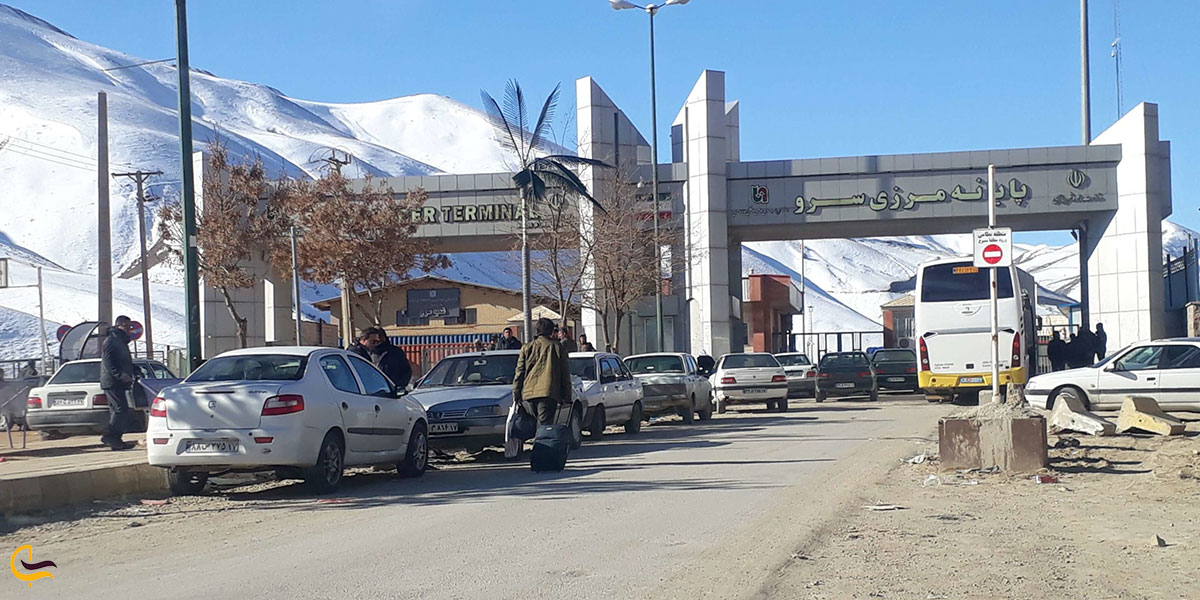 عکس مرز سرو 