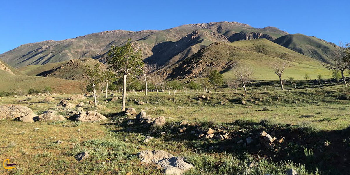 عکس طبیعت شبستر