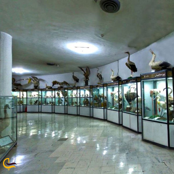 عکس موزه تاریخ طبیعی و تکنولوژی شیراز