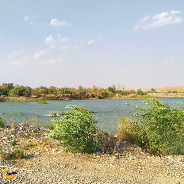 تصویری از رودخانه سیروان