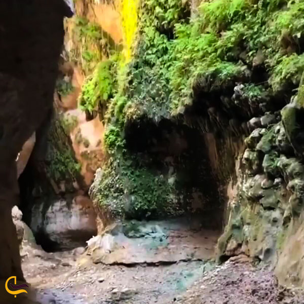 عکس طبیعت غار زینه گان  