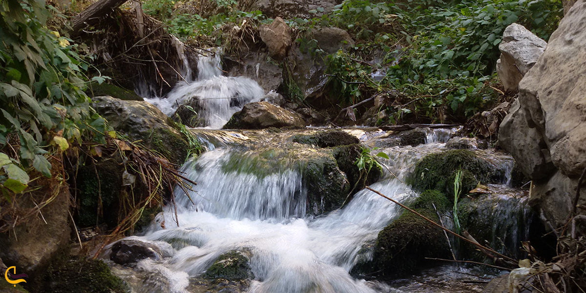 عکس چشمه های دره اخلمد