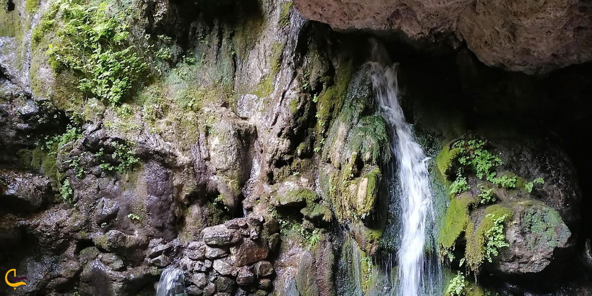 عکس پوشش گیاهی آبشار ارتکند