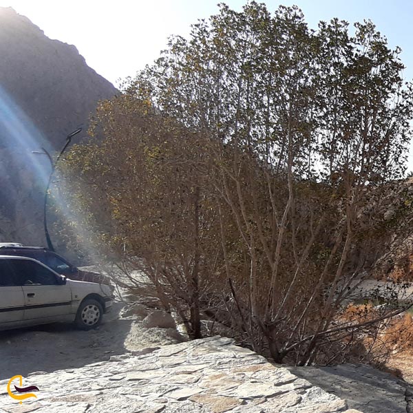 تصویری از امکانات گردشگری آبشار فدامی داراب