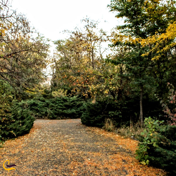 تصویری از باغ گیاه شناسی ایروان