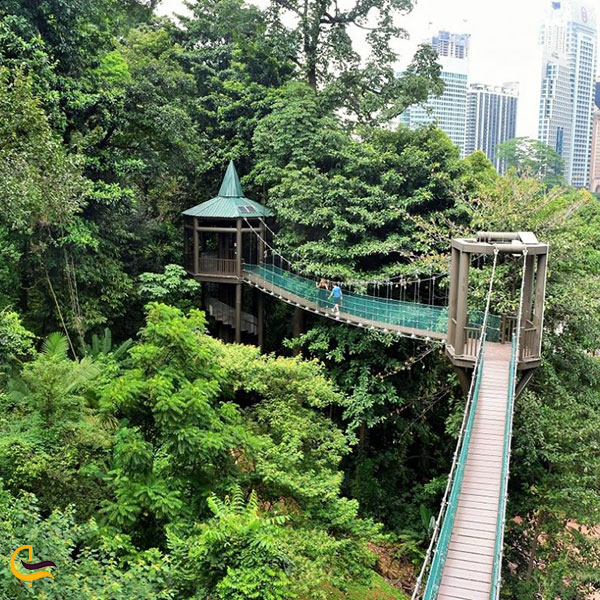 عکس پارک جنگلی کوالالامپور