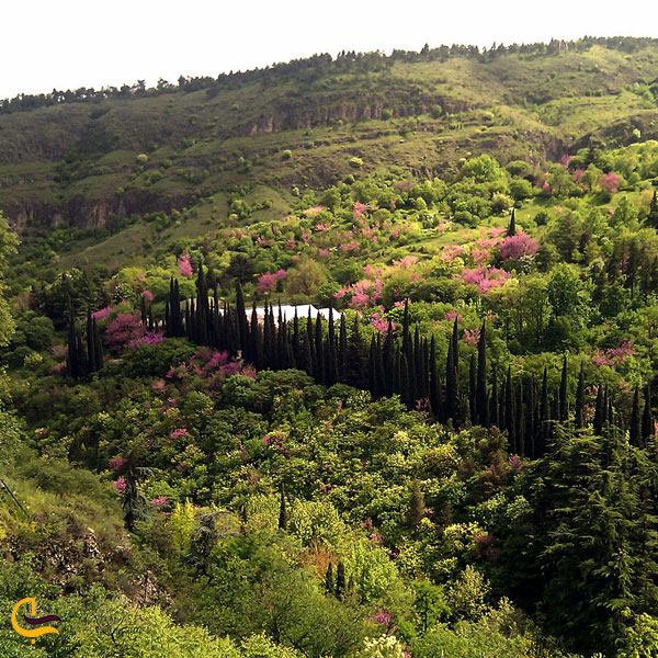 تصویری از باغ گیاه شناسی ملی گرجستان