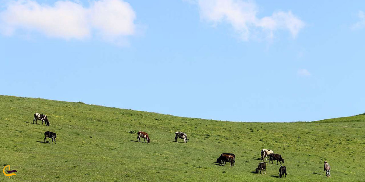 عکس طبیعت پارس آباد