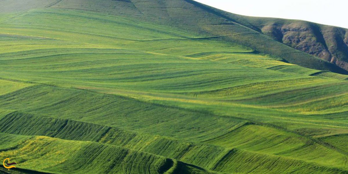 عکس طبیعت پارس آباد