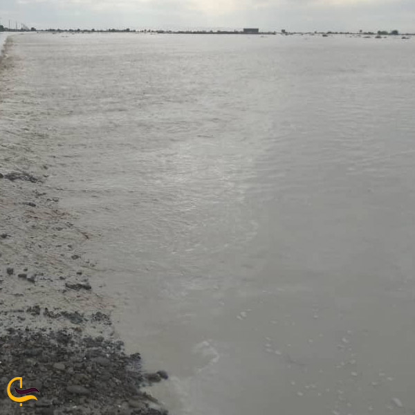 تصویری از رودخانه جگین