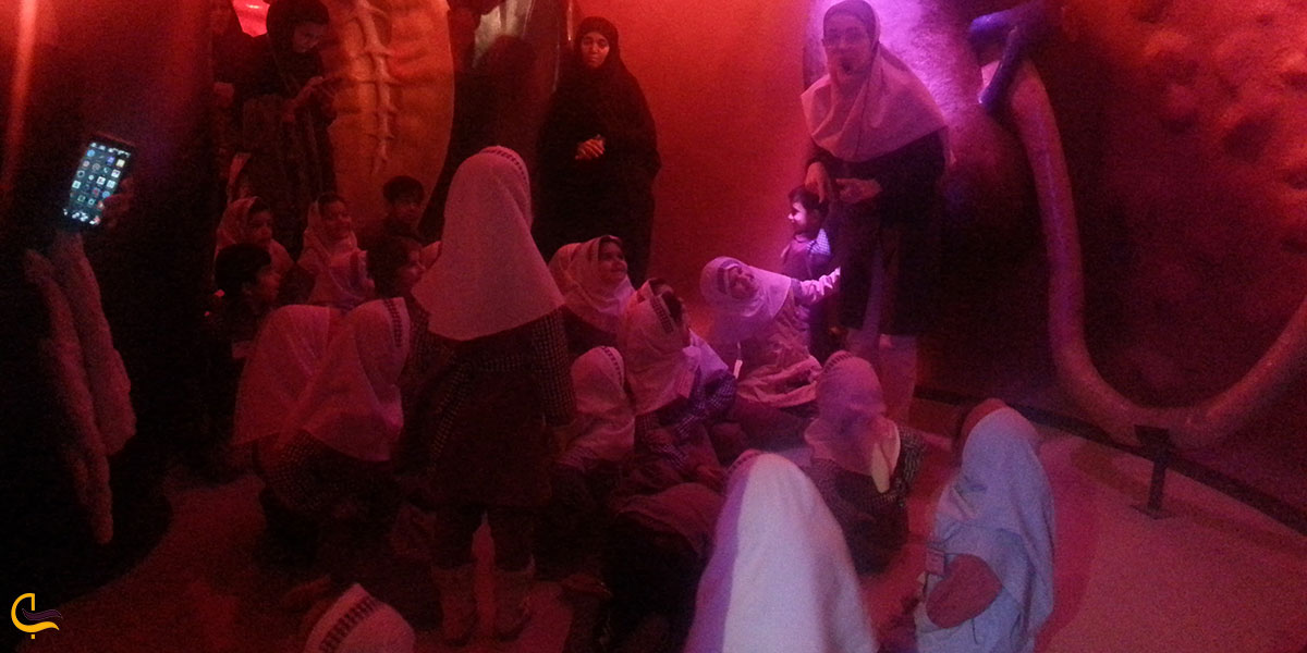 عکس اتاق روبان صورتی در پارک علمی پروفسور بازیما