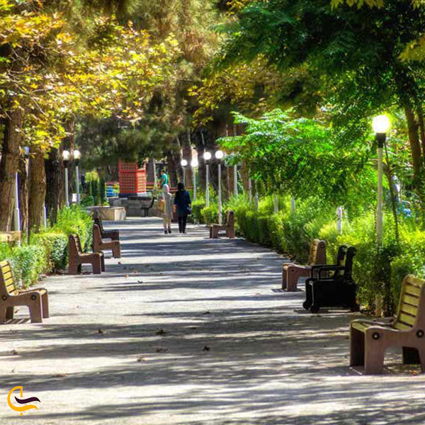عکس پارک ساعی تهران