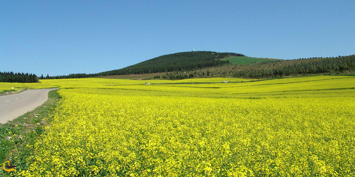 عکس بهترین زمان سفر به پارس آباد