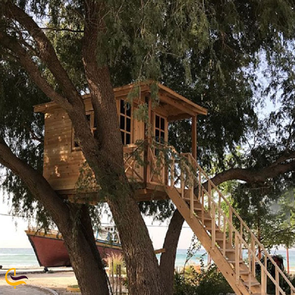 عکس کلبه‌های درختی اقامتگاه های لوله ای منطقه گردشگری پازارلند