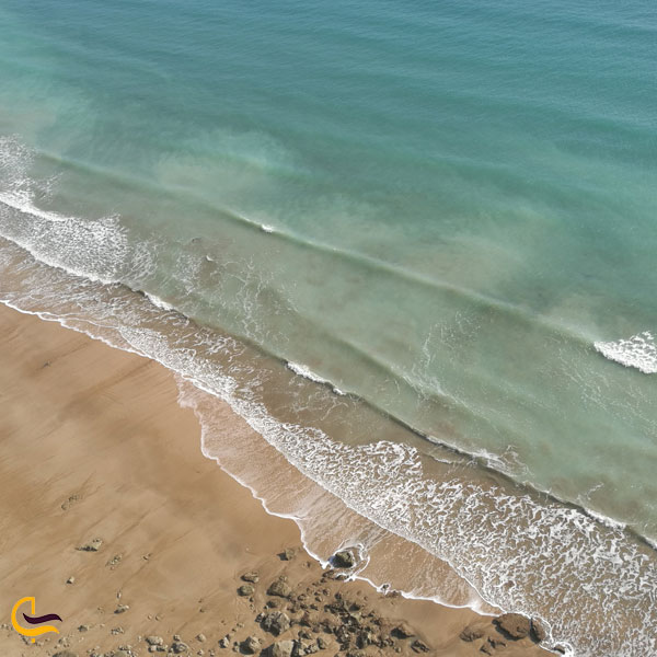 تصویری از ساحل لاک پشت ها از سواحل چابهار