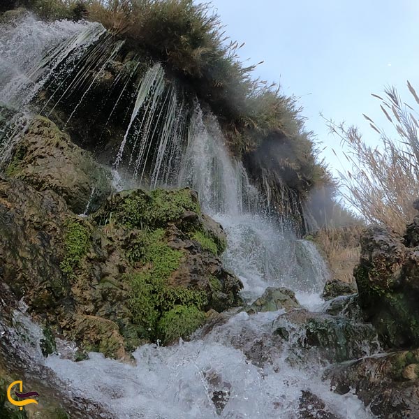 تصویری از طبیعت اطراف آبشار فدامی داراب