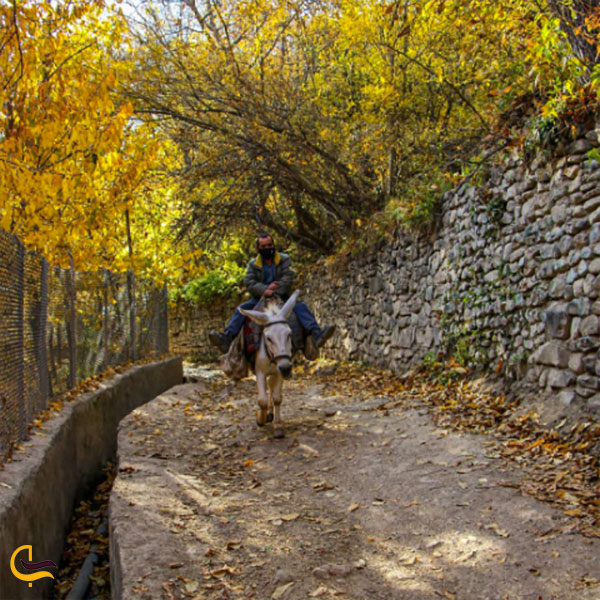 عکس روستای آهار تهران در فصل پاییز