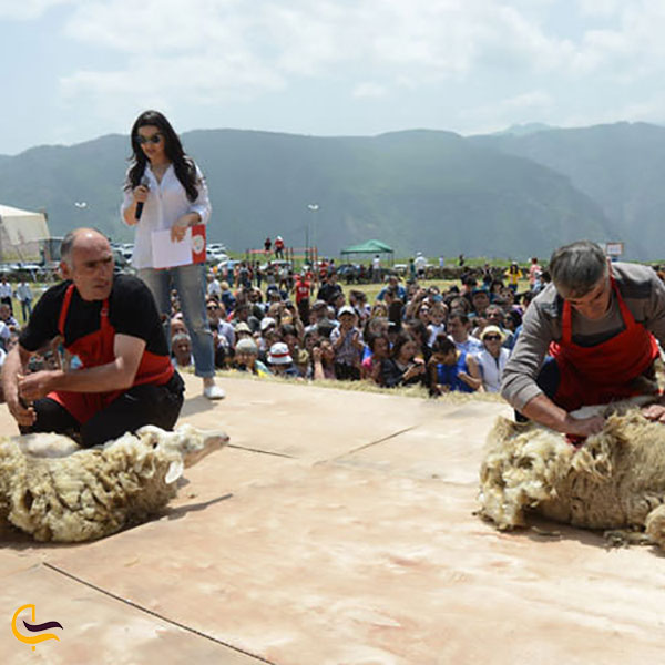 عکس جشنواره پشم چینی در ارمنستان