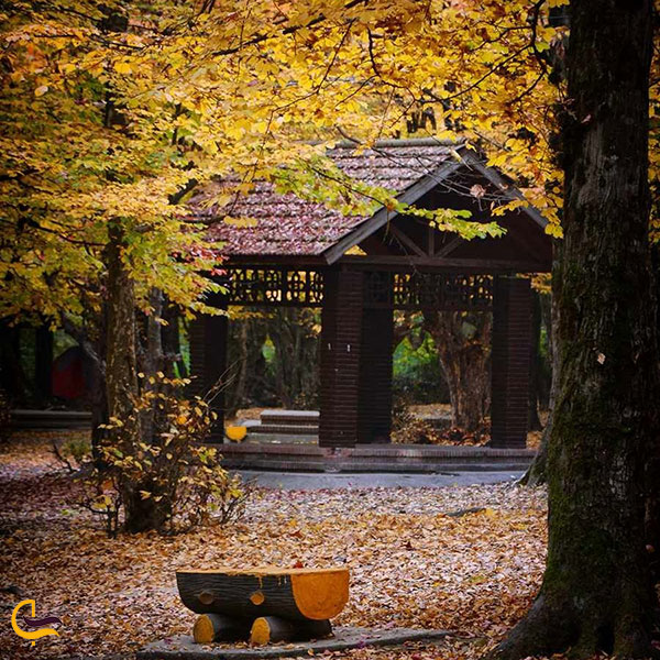 عکس پارک جنگلی ناهارخوران در فصل پاییز