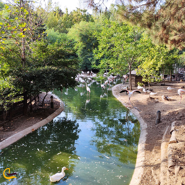عکس تفریح در باغ پرندگان تهران