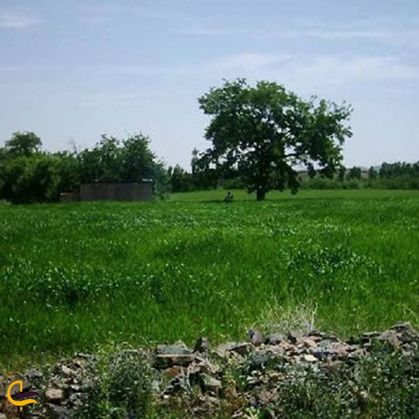 عکس روستای جمیزقان در قم
