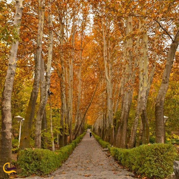 عکس پارک جمشیدیه تهران در پاییز