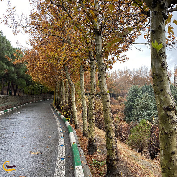 عکس پارک جنگلی لویزان تهران در فصل پاییز