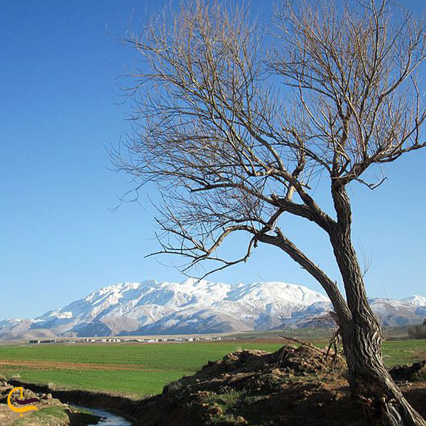 تصویری از کوه اشتران زاهدان