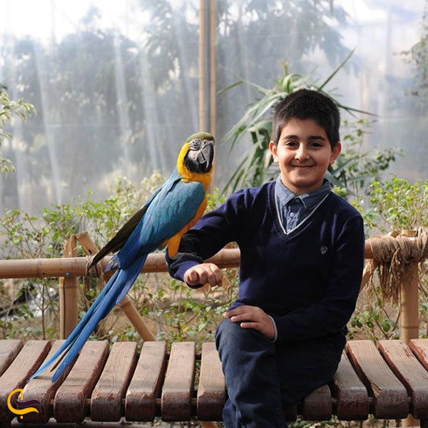 عکس عکاسی در باغ پرندگان تهران