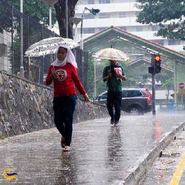 عکس بارندگی در زمستان مالزی