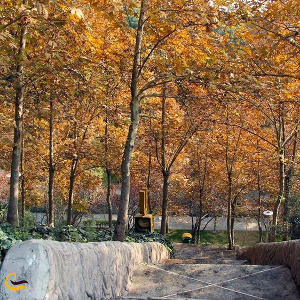 عکس پارک ساعی تهران در فصل پاییز