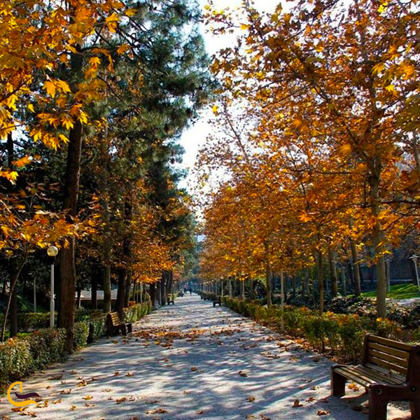 عکس پارک جمشیدیه تهران در پاییز