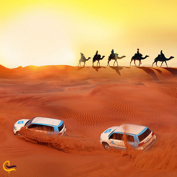 عکس بهترین زمان سفر به دبی برای تجربه سافاری دبی
