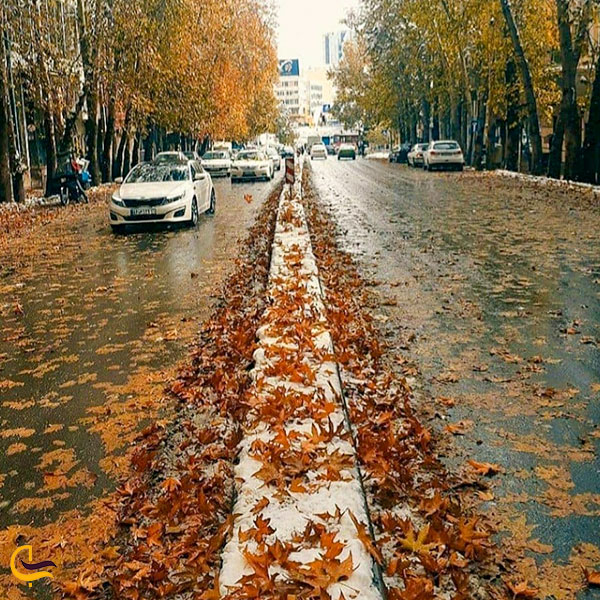 عکس خیابان ولی‌عصر تهران در فصل زیبای پاییز