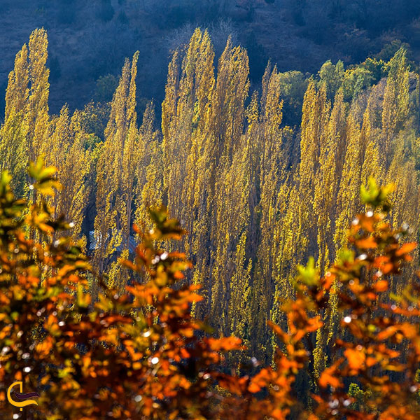 عکس روستای یوش در فصل پاییز