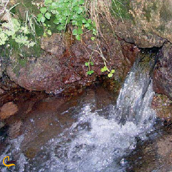 تصویری از چشمه آب معدنی موسی