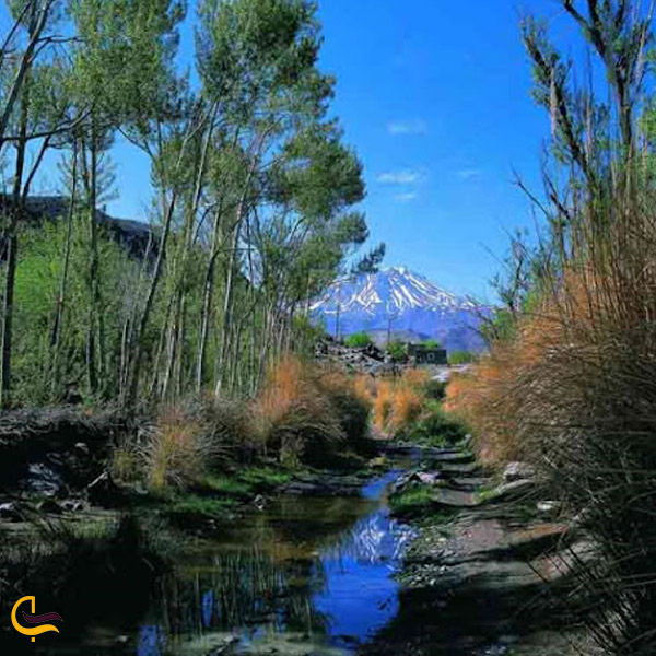 تصویری از روستای تمین
