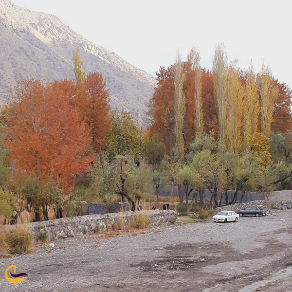 تصویری از طبیعت روستای دهبکری