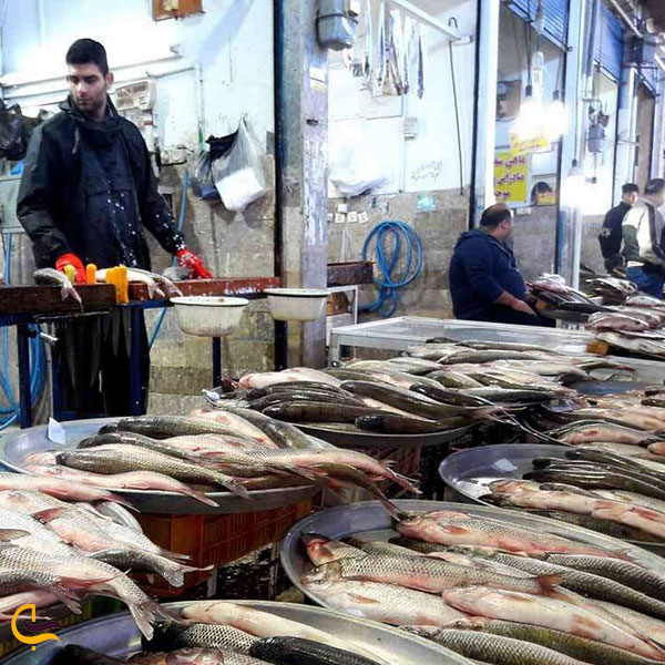 عکس بازار بزرگ ماهی فروشان درساری