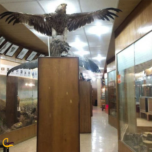 عکس موزه تاریخ طبیعی در دانشگاه اراک