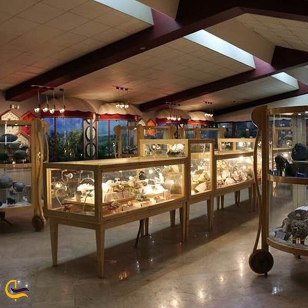 موزه تاریخ طبیعی و تنوع زیستی استان بوشهر