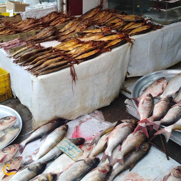 تصویری از بازار ماهی رشت