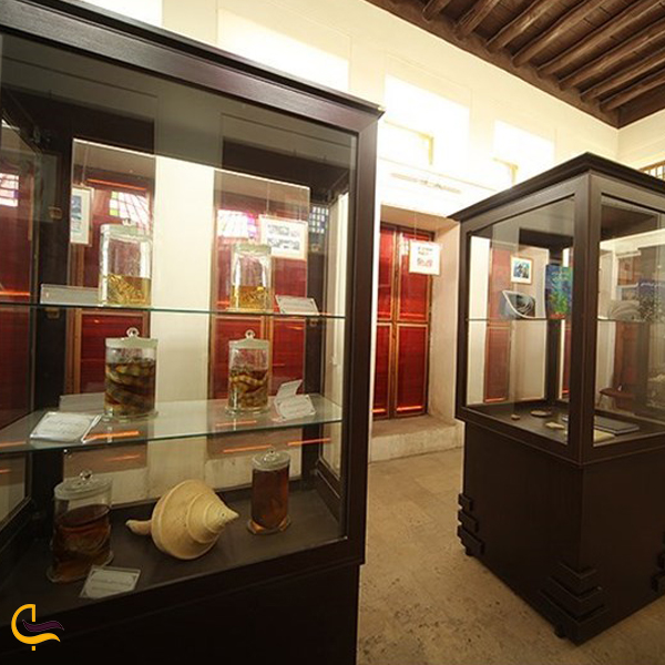 تصویری از موزه های بوشهر