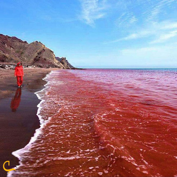عکس ساحل سرخ در قشم