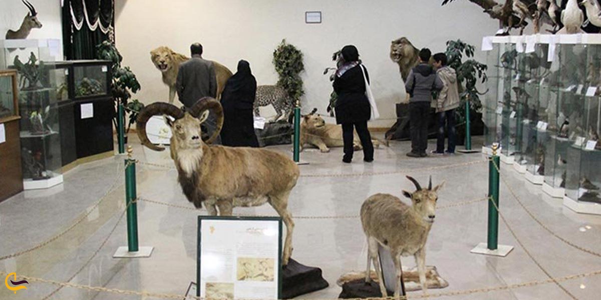 موزه تاریخ طبیعی اردبیل