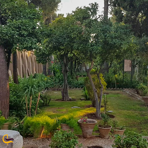عکس طبیعت باغ موزه هفت تنان شیراز