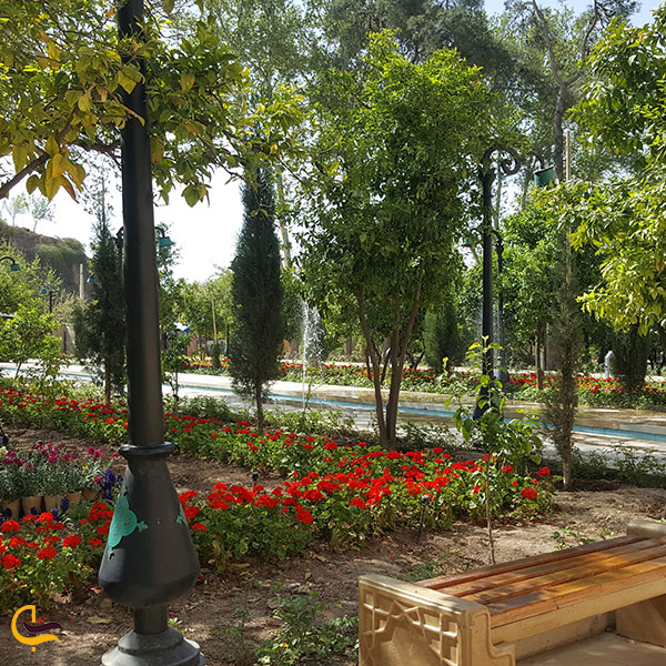 عکس طبیعت باغ دلگشا شیراز