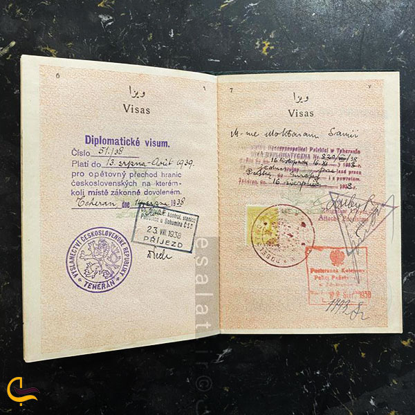 عکس پاسپورت سیاسی