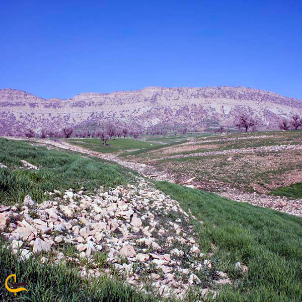 عکس روستای قجر در جاهای دیدنی ایلام